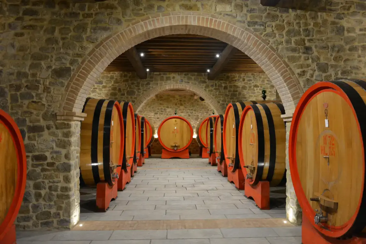Orcia Doc, tradizione ed alta enologia tra le colline senesi
