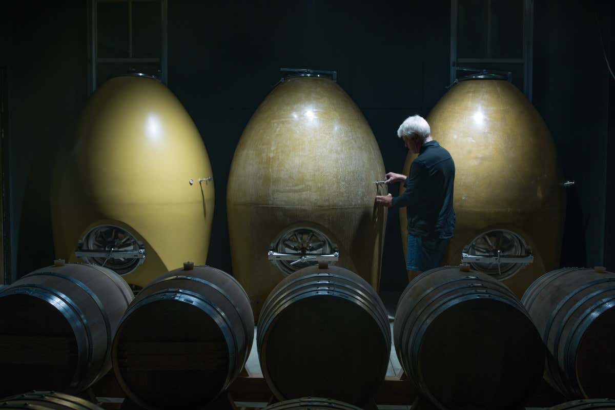 Sauvignon Blanc neozelandese: ragioni (e futuro) di un mito