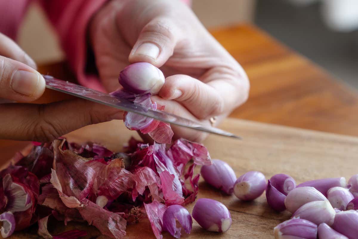 Scalogno, il bulbo gentile che sostiene la salute e arricchisce la cucina Scalogno, il bulbo gentile che sostiene la salute e arricchisce la cucina