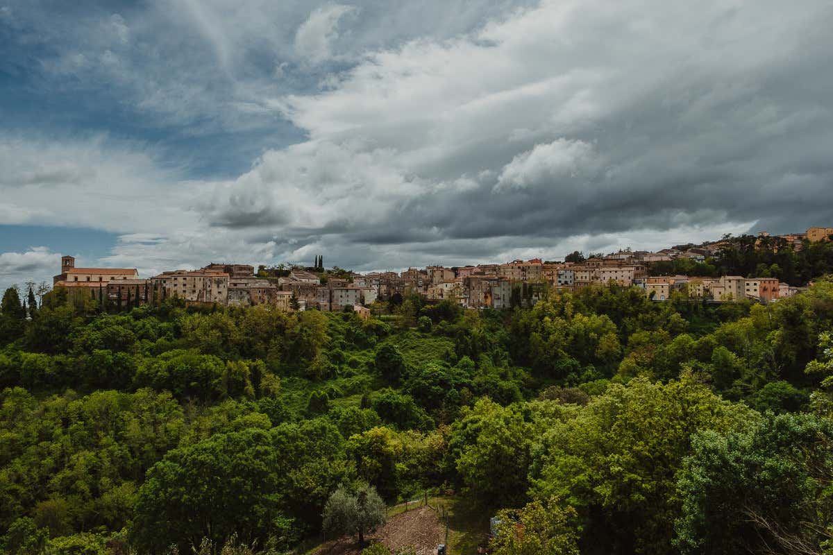 Scansano Enoturismo, sostenibilit&agrave; e consolidamento: il futuro del Morellino di Scansano