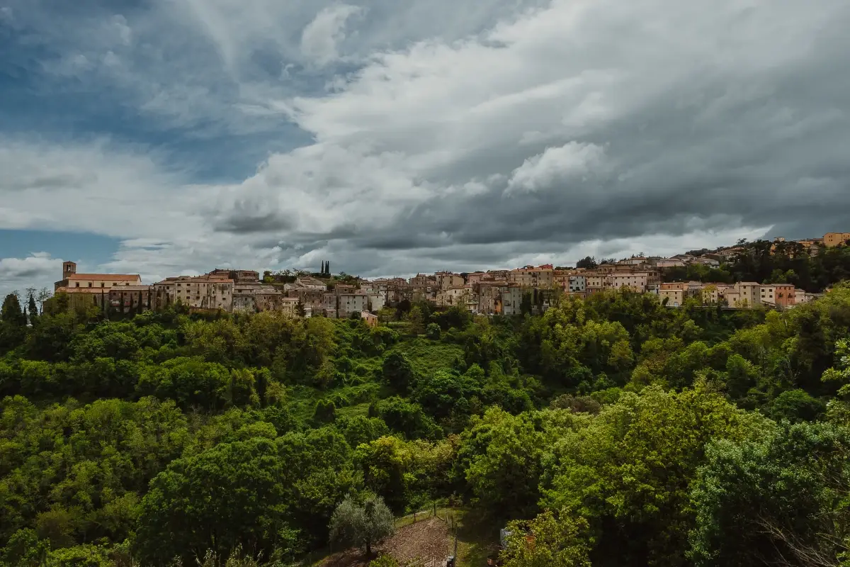 Scansano Enoturismo, sostenibilit&agrave; e consolidamento: il futuro del Morellino di Scansano