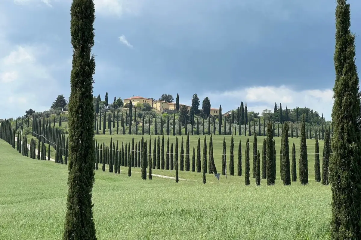 Dalla montagna al mare: l'importanza del territorio per il Morellino di Scansano
