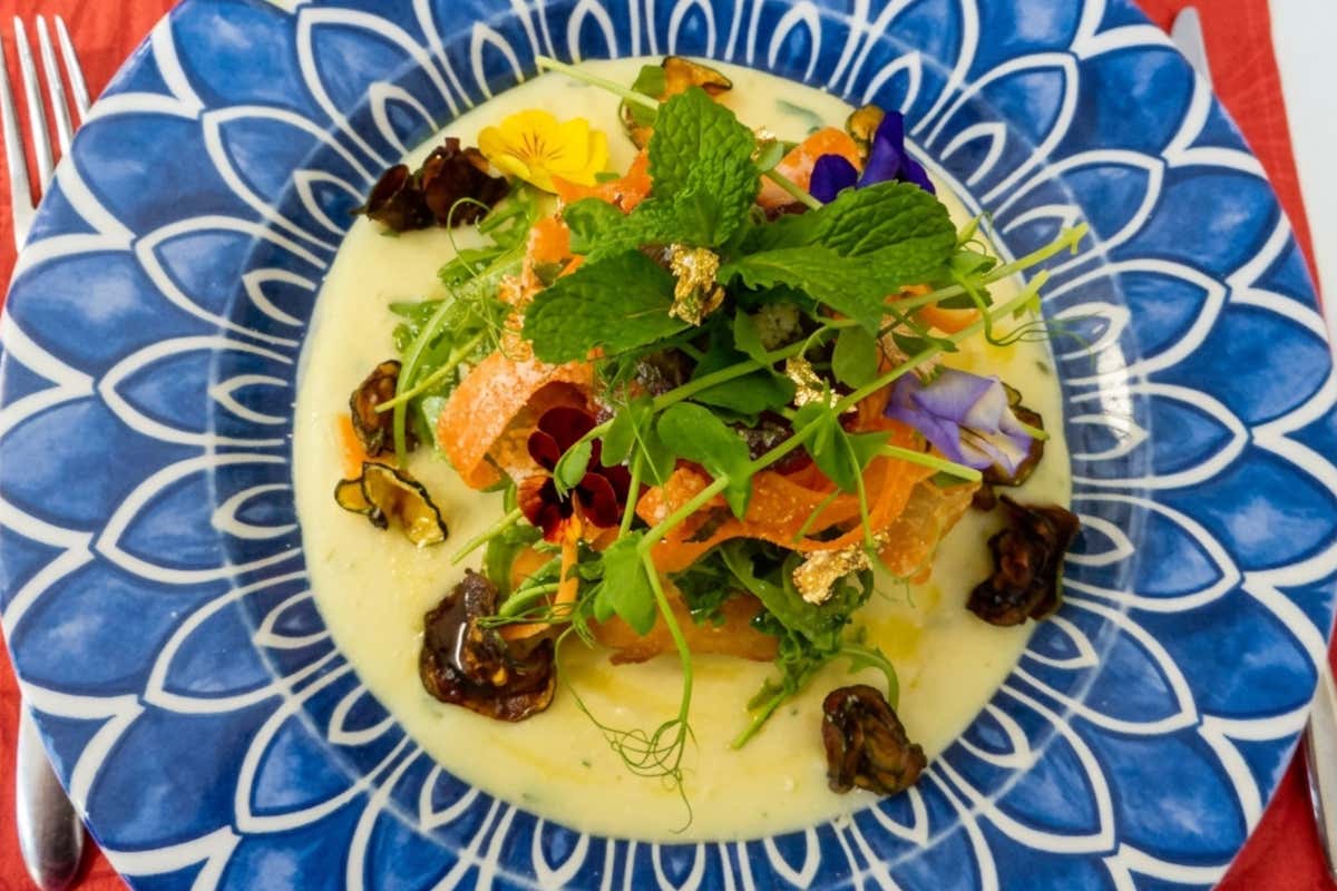 Fiore di zucca farcito con ricotta e scamorza affumicata, cipolle caramellate al vino rosso, foglie d’insalatina e di menta, carote a fettine sottilissime, fiori edibili e scagliette d’oro.
