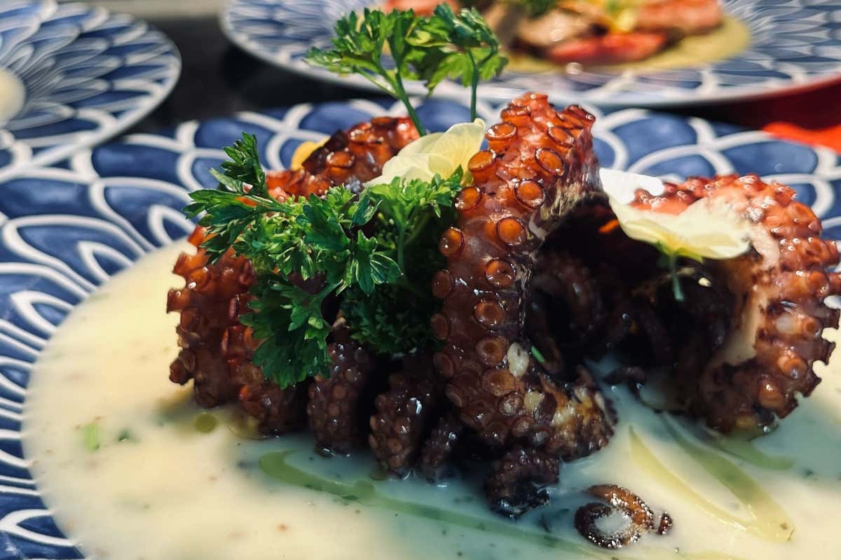 Polpo alla griglia con crema di patate profumata al tartufo