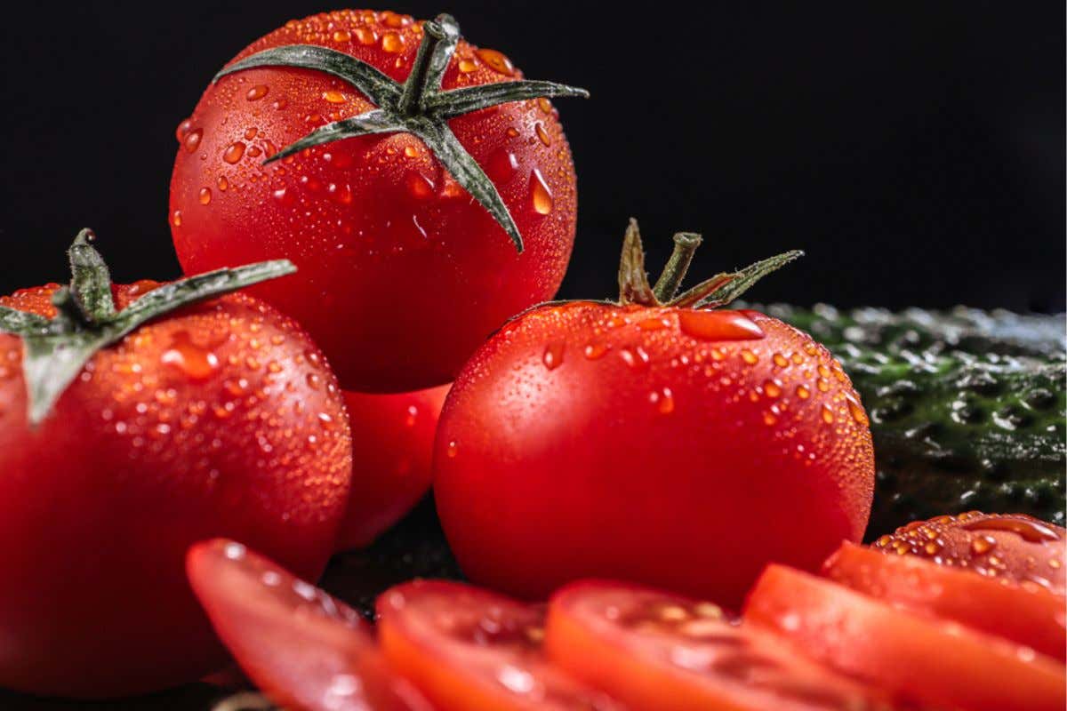 I trucchi per scegliere una buona passata di pomodoro al supermercato