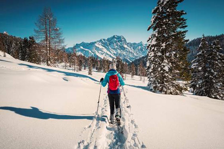 Scoprire la natura imbiancataA ritmo lento sulla neve di Cortina