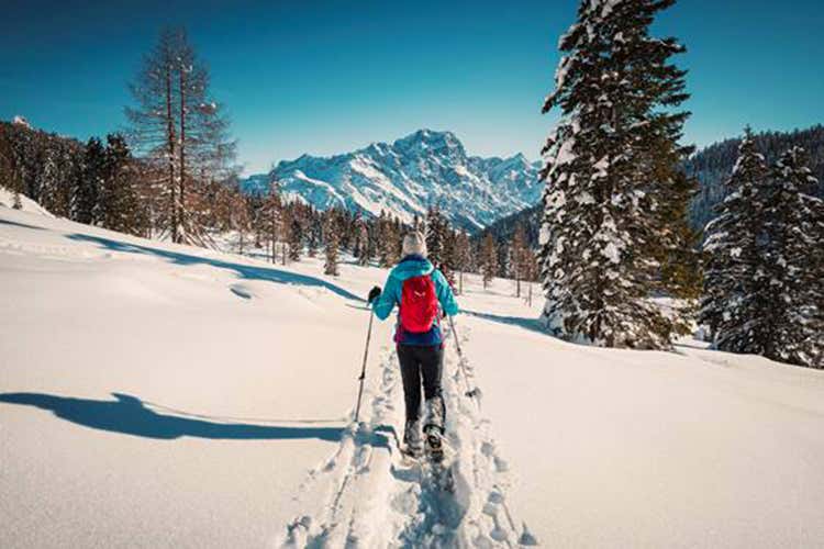 Scoprire la natura imbiancataA ritmo lento sulla neve di Cortina