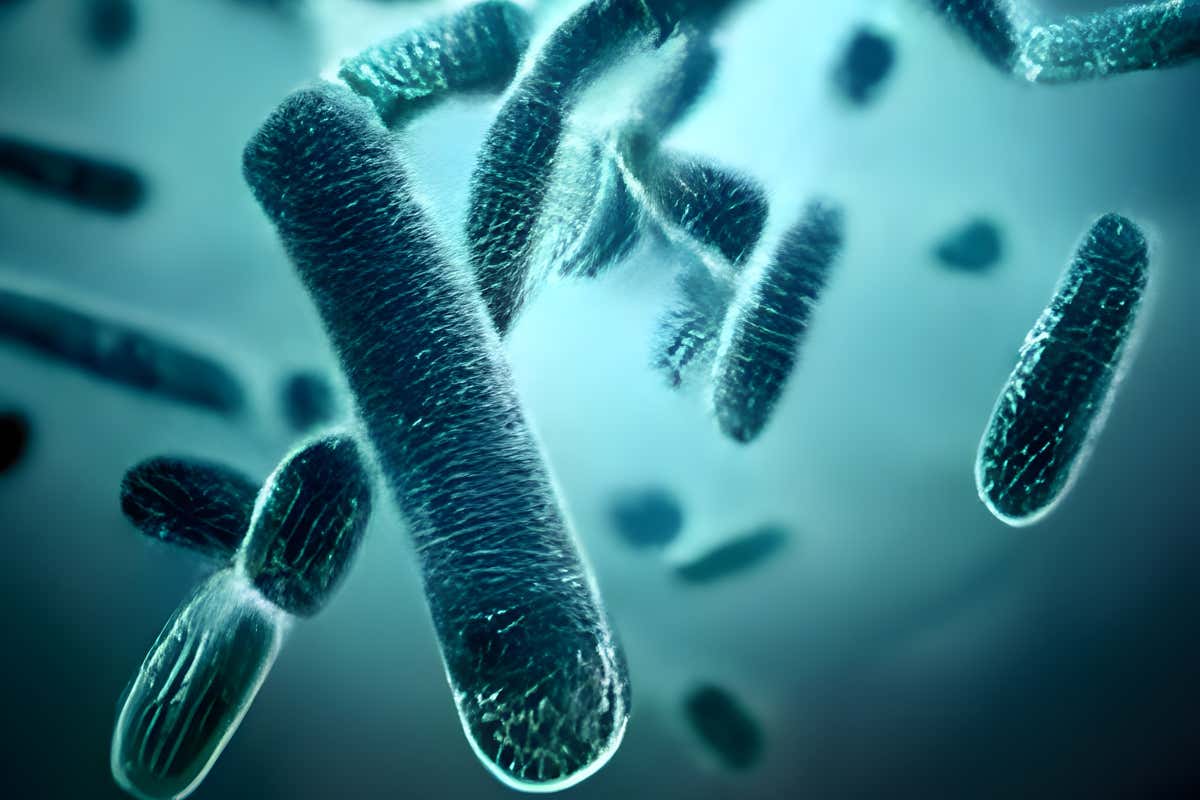 Allarme botulino e latte crudo: ecco perché i formaggi Dop restano sicuri Allarme botulino e latte crudo: ecco perché i formaggi Dop restano sicuri