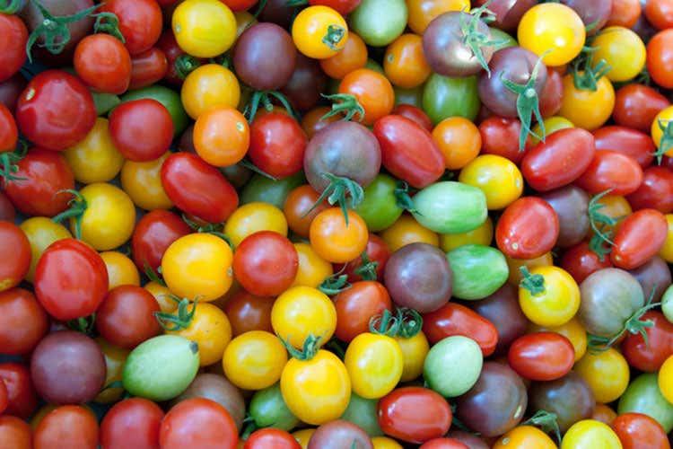 (Tutta la scienza del pomodoro Un atlante genetico made in Usa)