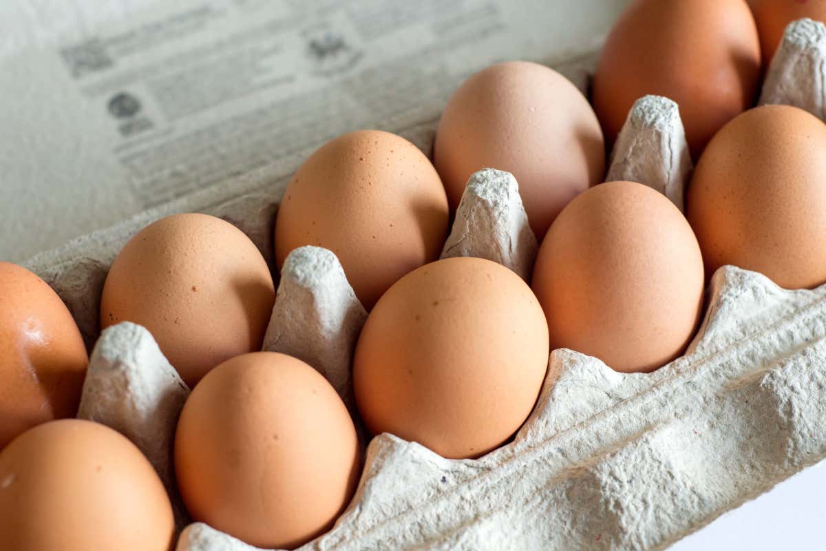 Uova fresche ritirate: lotti Avicola Serroni a rischio Salmonella