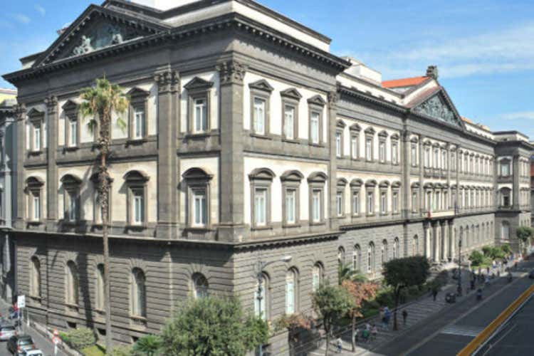 (Scienze Gastronomiche alla Federico II Lorito: &laquo;Corso assai professionalizzante&raquo;)