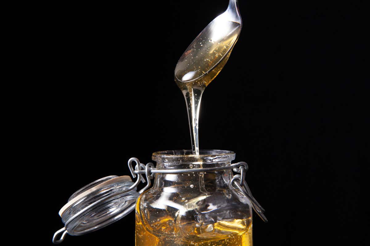 Dolce risveglio: le alternative allo zucchero per una colazione golosa con il caffè Dolce risveglio: le alternative allo zucchero per una colazione golosa con il caffè