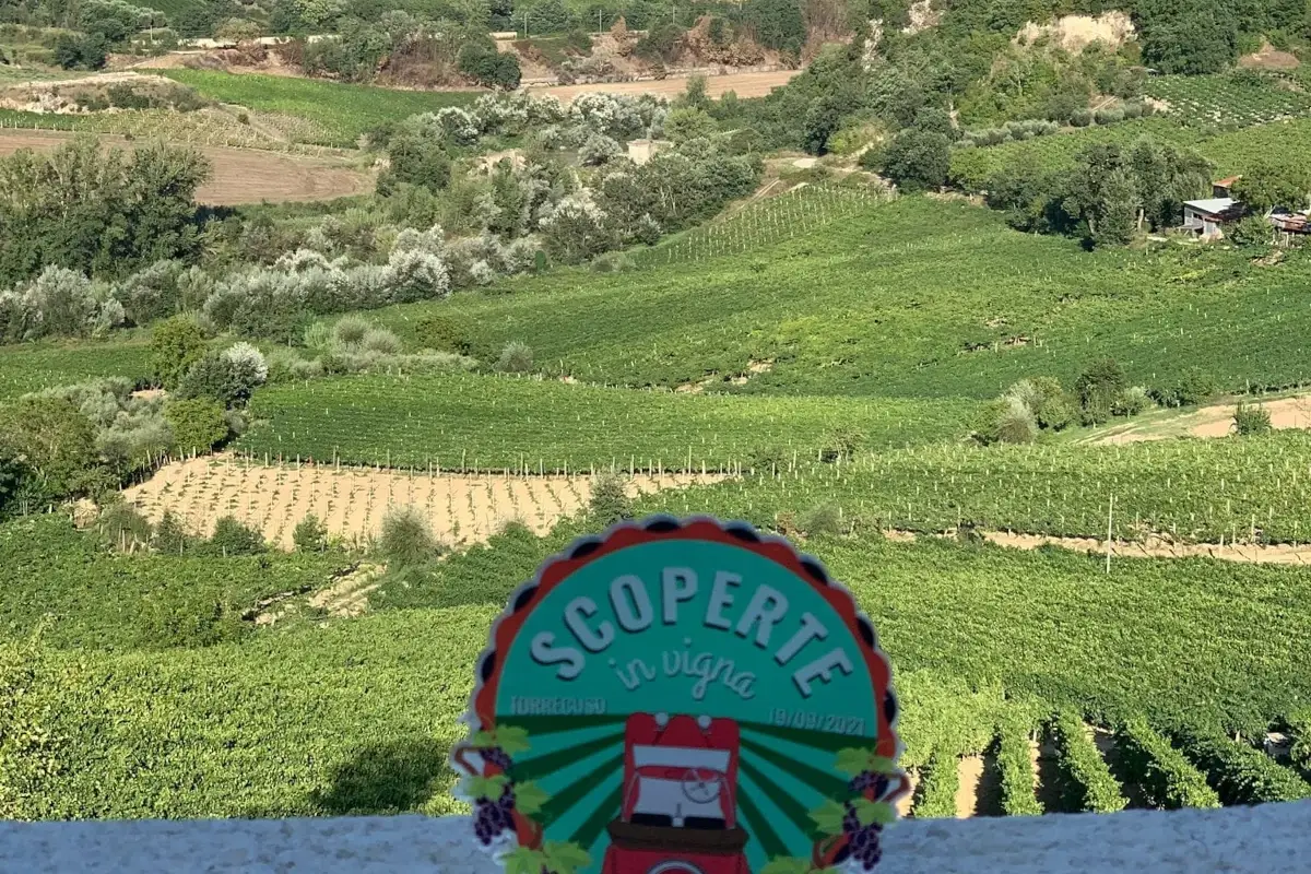 Scoperte in vigna, tour enogastronomico su auto decappottabili