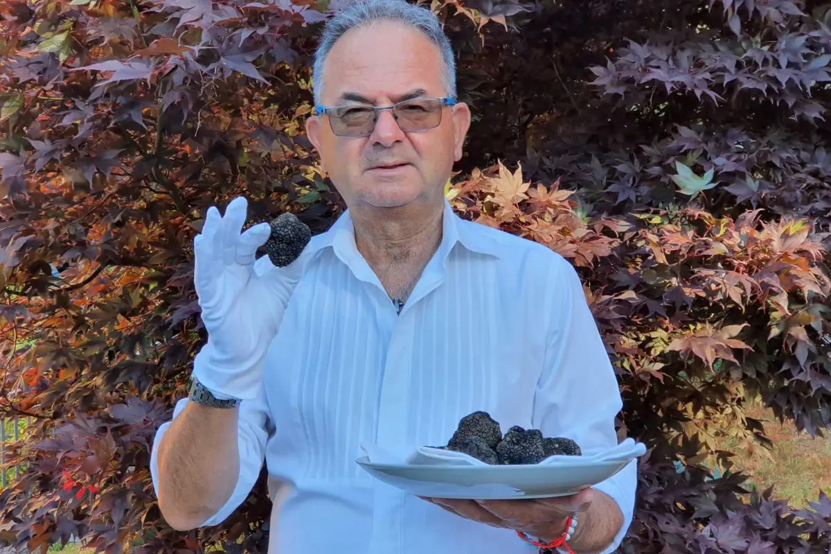Il direttore dell'Accademia del Tartufo nel Mondo, Giuseppe Cristini Il tartufo lo si può trovare anche nei parchi in città, ma non vi fidate dei furbetti