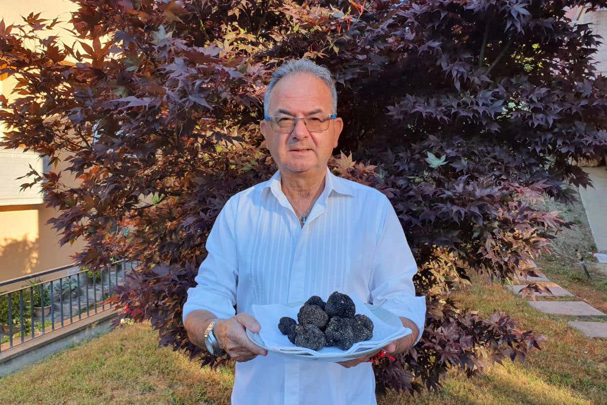 Il direttore dell'Accademia del Tartufo nel Mondo, Giuseppe Cristini Il tartufo lo si può trovare anche nei parchi in città, ma non vi fidate dei furbetti