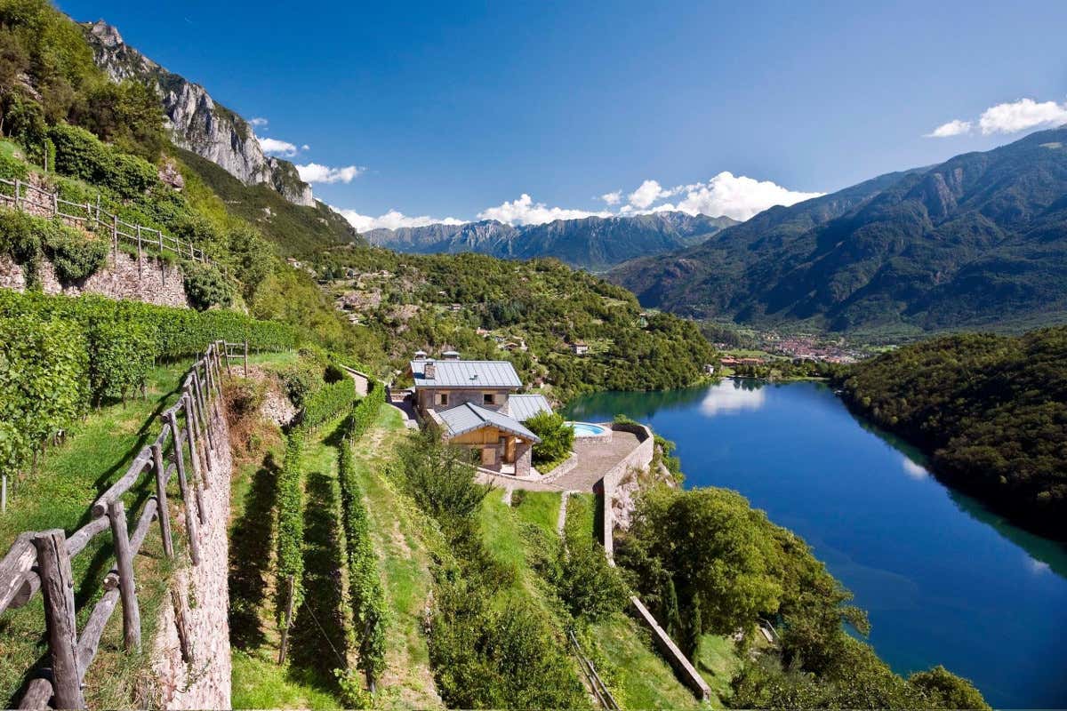 Scraleca, dove la Valle Camonica diventa terra di vini (e oli) estremi