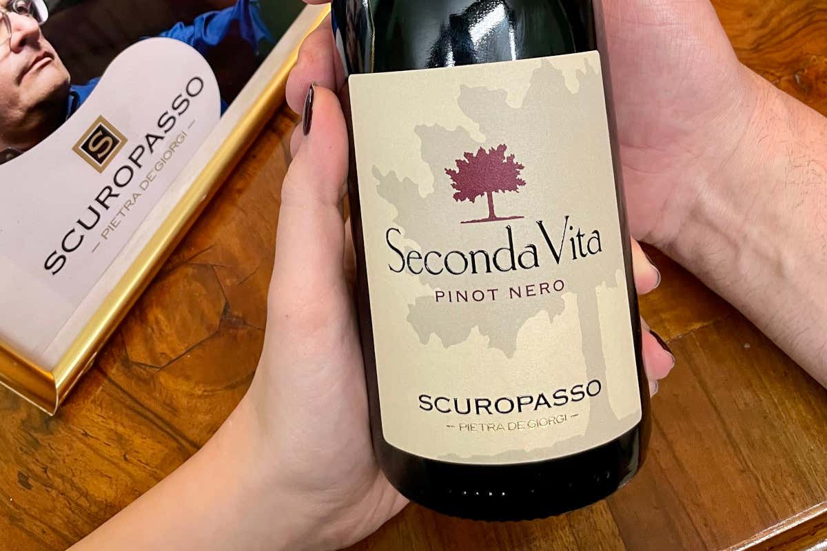 “Seconda Vita” di Scuropasso: un Pinot Nero nato da un vigneto storico “Seconda Vita” di Scuropasso: un Pinot Nero nato da un vigneto storico