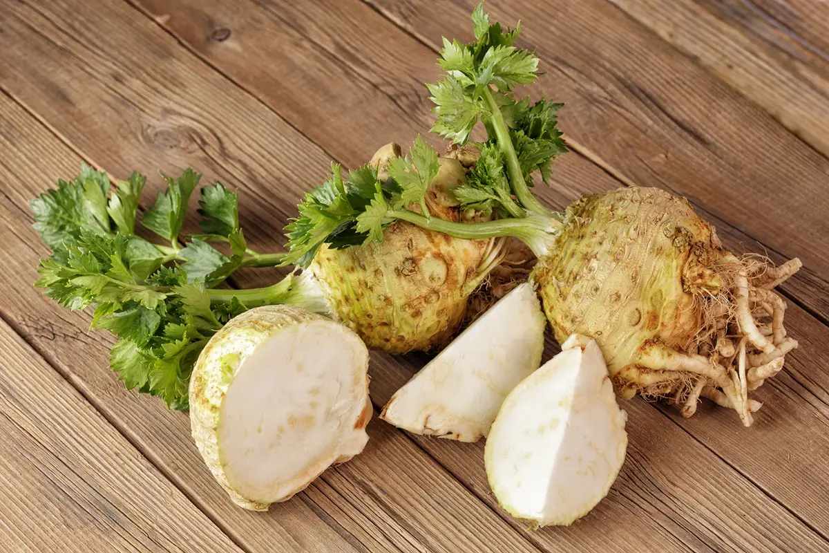 Brutto ma buono e sano: a settembre mangia il sedano rapa