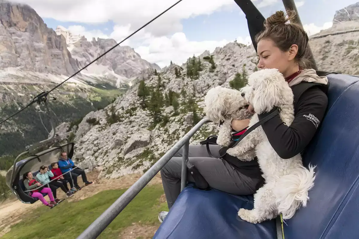 Godere il panorama sulla seggiovia Averau 5 Torri A Cortina anche i cani vanno in quota