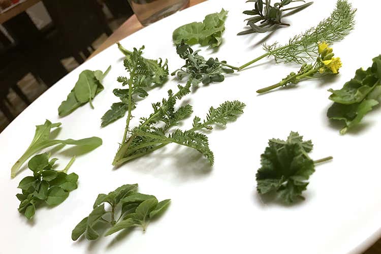 (I segreti pi&ugrave; intimi del gardesano in tavola al Ristorante Alle Rose di Sal&ograve;)