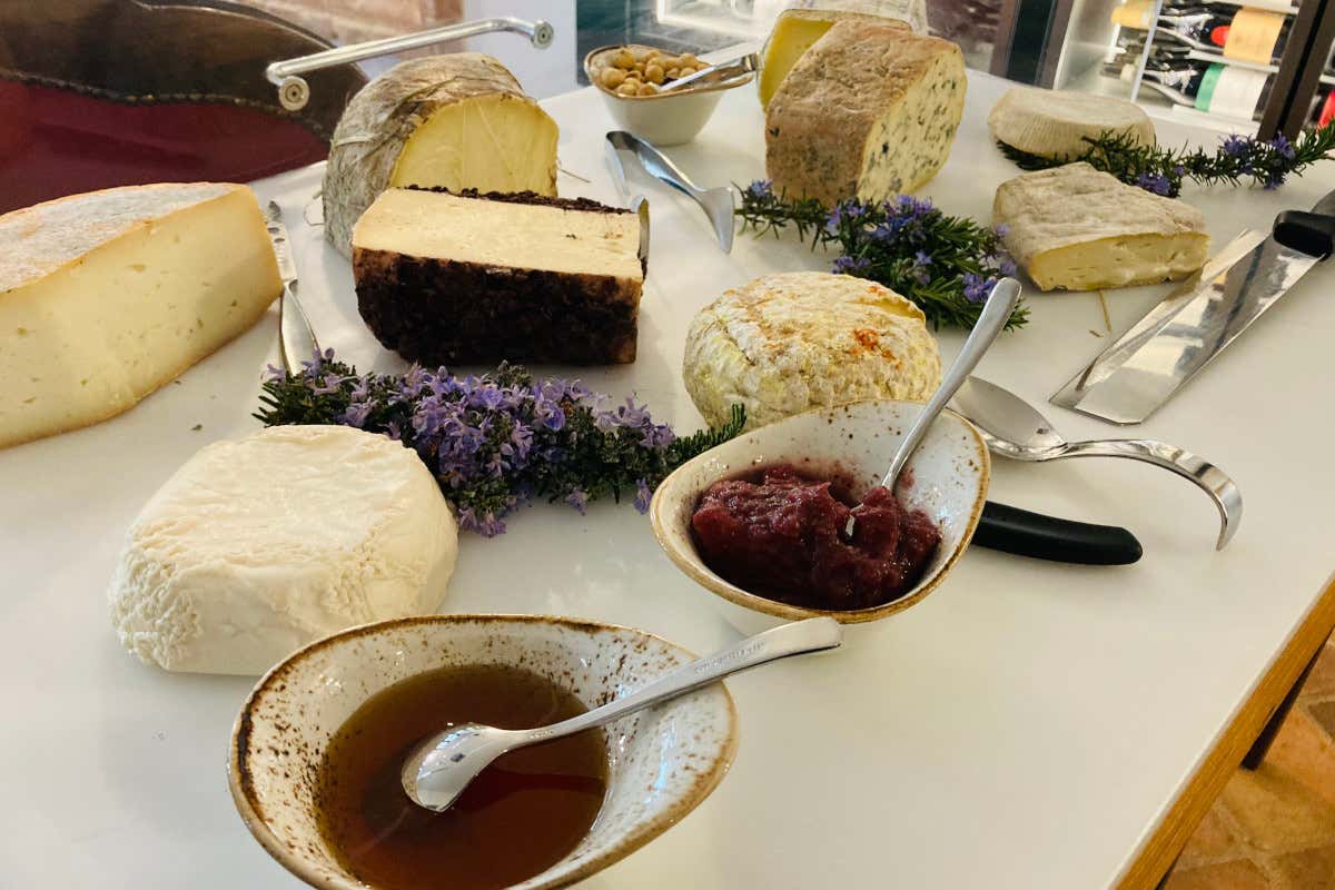 La Torricella: alla scoperta delle Langhe tra cibo, vino e relax con la Winery Spa