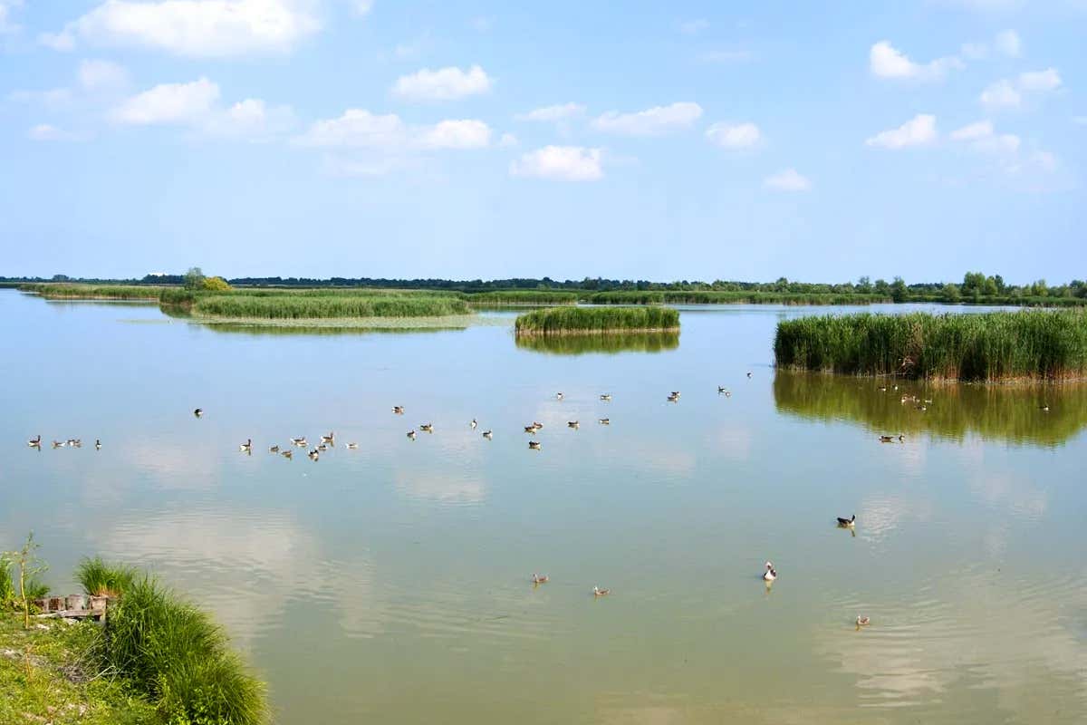 Gemellaggio enogastronomico tra Argenta e Canezza con una cena a colpi di selvaggina