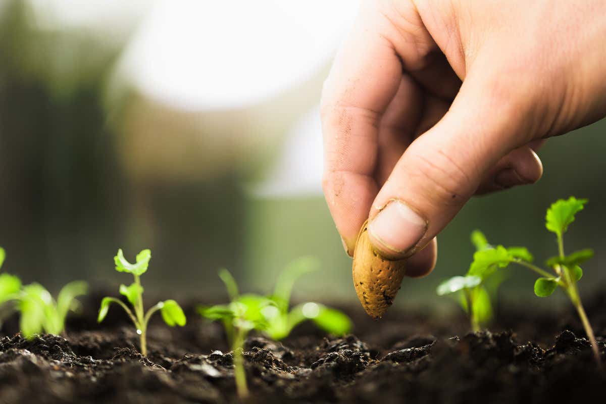Assosementi lancia un progetto per la tracciabilit&agrave; dei prodotti ortofrutticoli