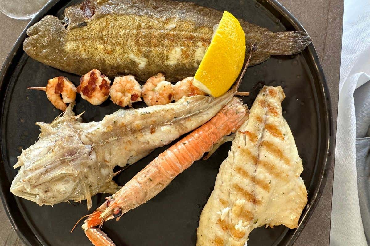 5 Stelle Michelin e il meglio del cibo, Senigallia torna a essere 5 Stelle Michelin e il meglio del cibo, Senigallia torna a essere