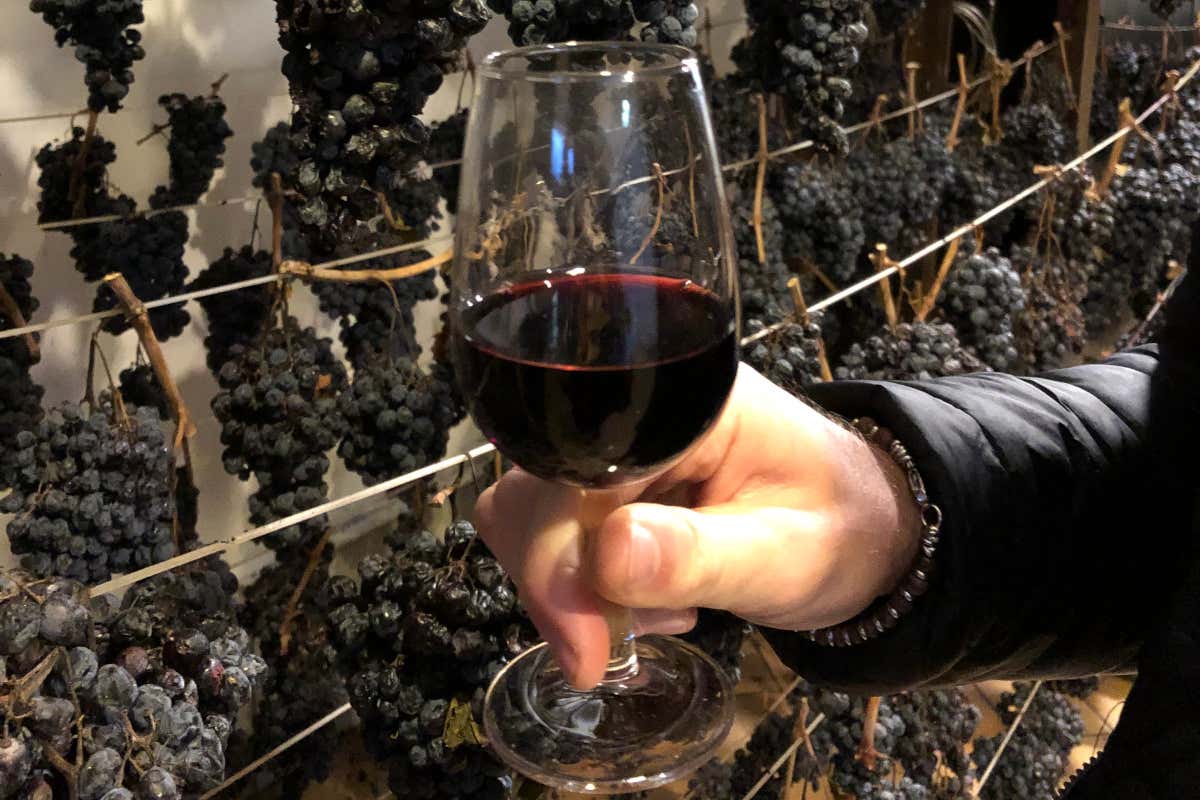 Senigallia Città Gourmet trasforma il Natale in un viaggio nei sapori marchigiani Senigallia Città Gourmet trasforma il Natale in un viaggio nei sapori marchigiani