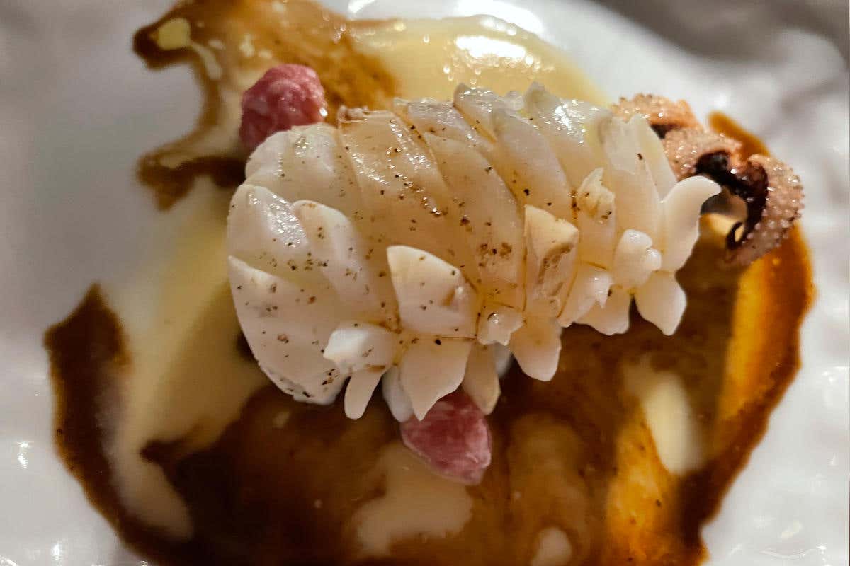 Seppia su findo bruno di seppia e salsiccia di Bra Al Santamonica di Genova tanta Liguria nel piatto, ma non convenzionale