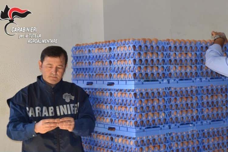 Uno dei sequestri dei carabinieri del Rac (Manca la rintracciabilit&agrave;Sequstrare 26mila uova)