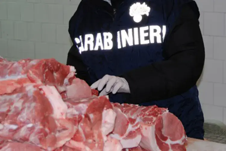 Carne sequestrata dal valore di 56mila euro - foto: Ansa