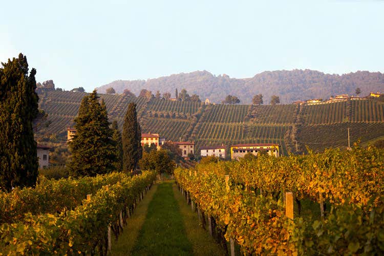 Vino bergamasco, si lavora al 50%Il futuro sarà nella ristorazione