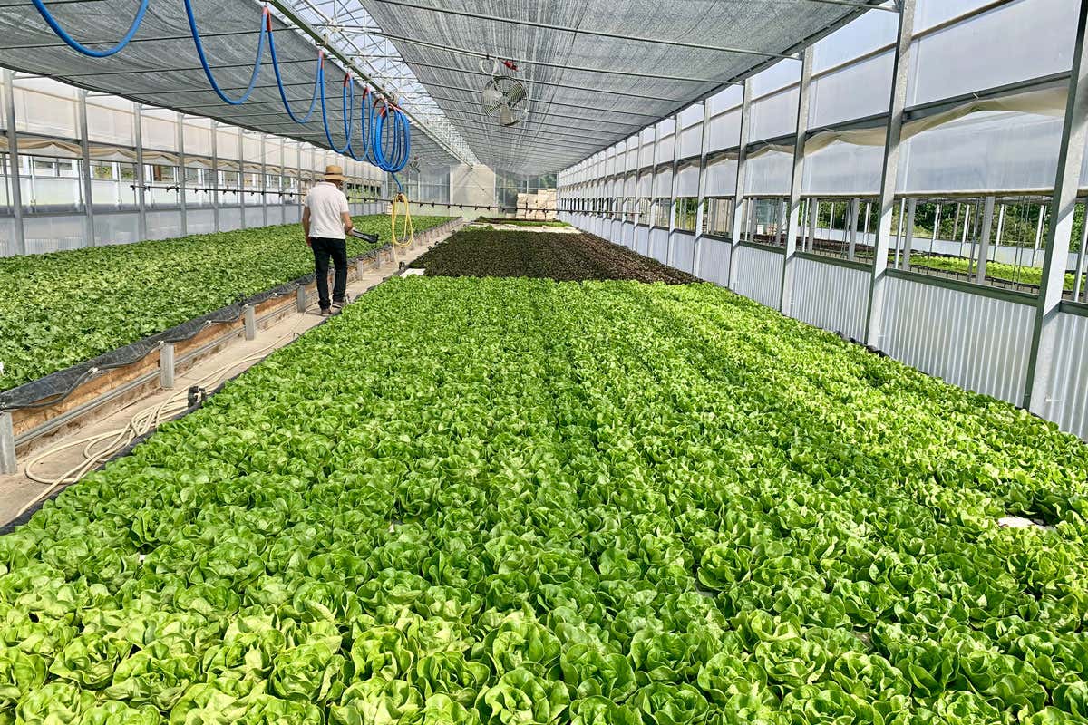 Molise, una regione ad alto tasso di biodiversità tutta da scoprire Molise, una regione ad alto tasso di biodiversità tutta da scoprire