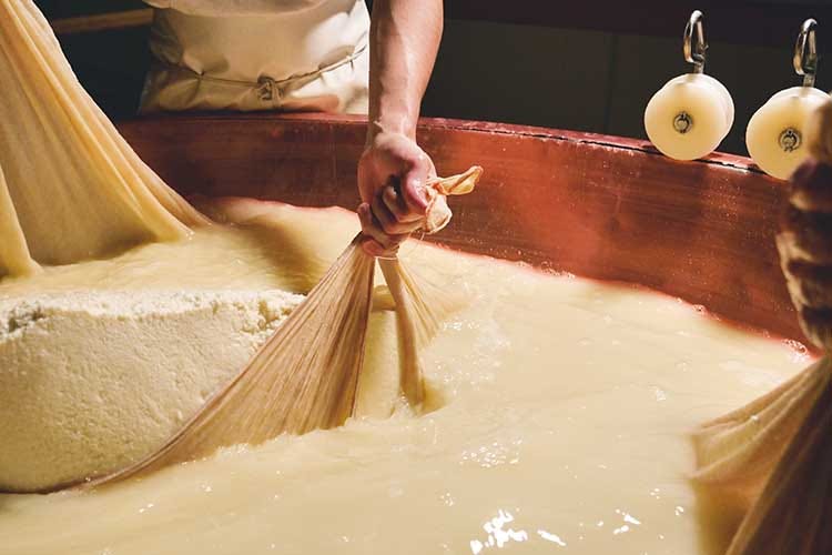 Solo 3 gli ingredienti del Parmigiano: latte, sale e caglio di vitello