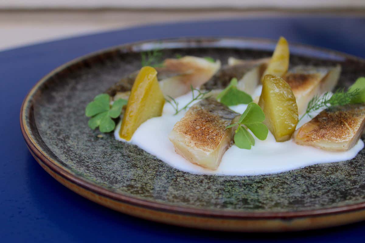 Sgombro marinato con latte di mandorle e cetrioli Nella cucina del Remulass è arrivato Francesco Vitale