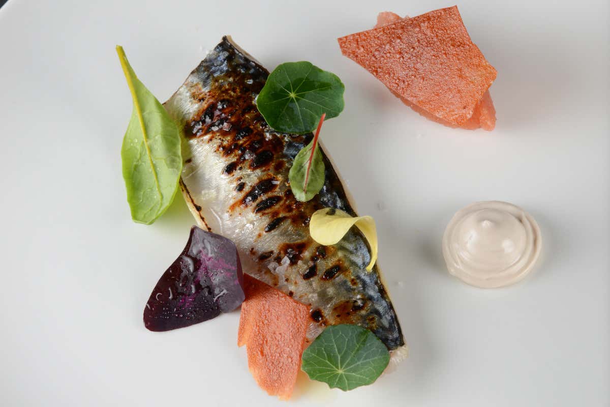 Sgombro affumicato, mela, rapa rossa, rafano e machetto di acciughe sotto sale