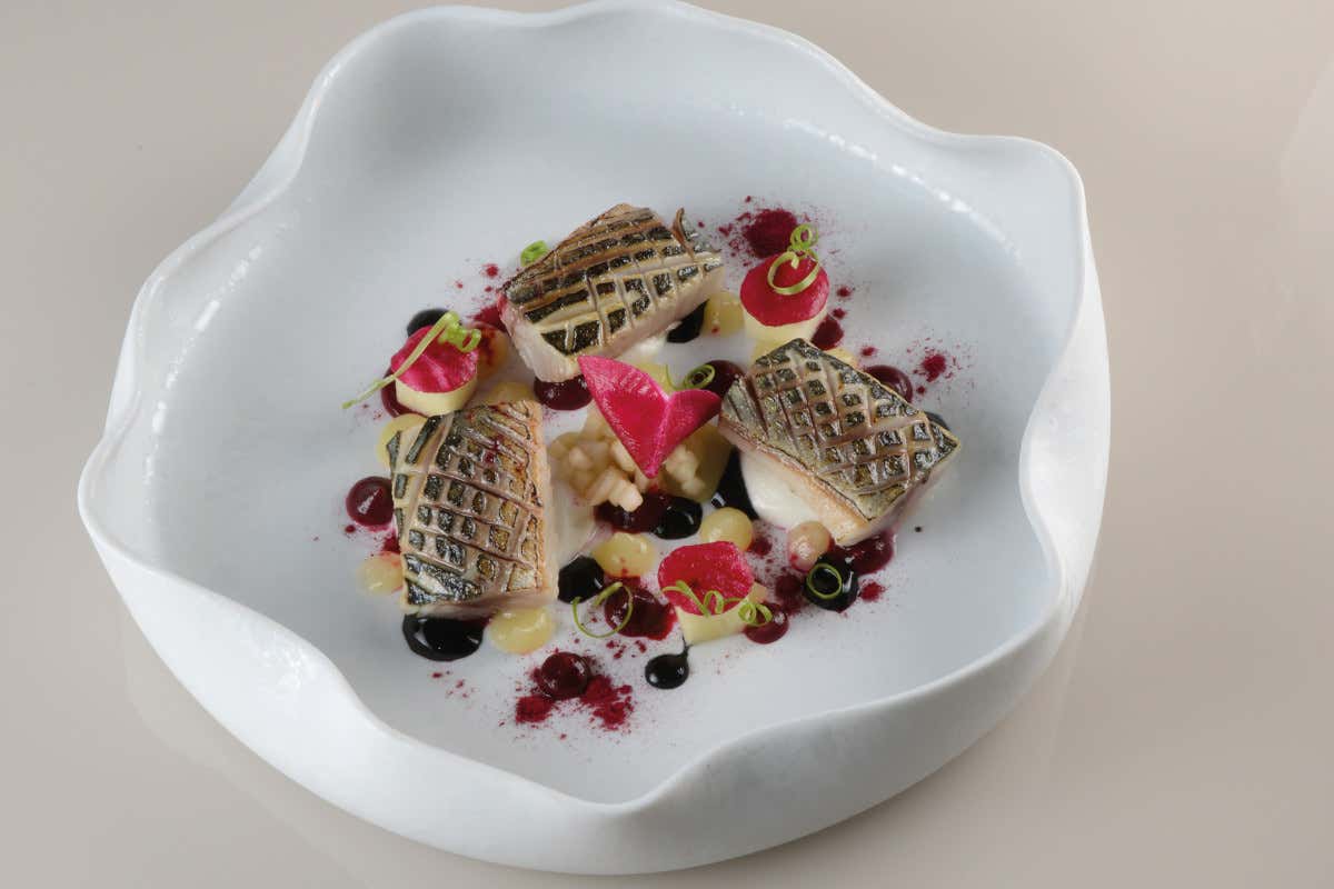 Sgombro, rapa rossa, caprino e mela Sgombro, rapa rossa, caprino e mela