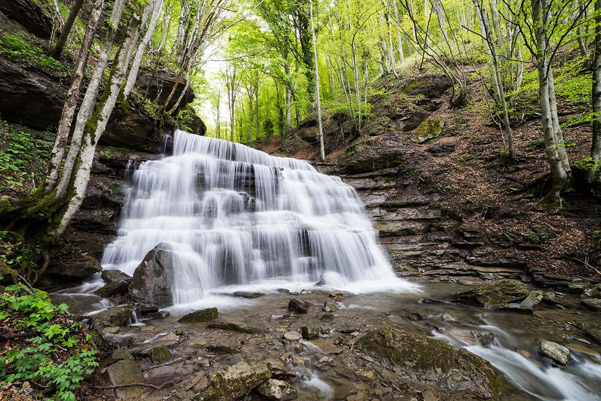 Parco Nazionale delle Foreste Casentinesi