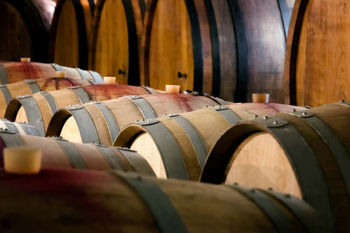 Prezzi delle uve in calo, cantine piene: vino piemontese sempre più fragile