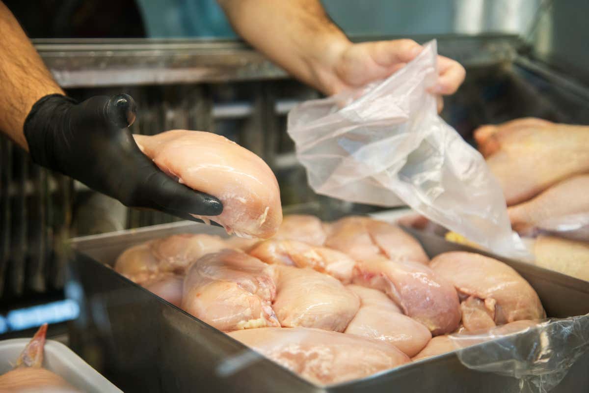 Pollo, stretta Ue: nuove regole contro acqua in eccesso ed etichette ingannevoli