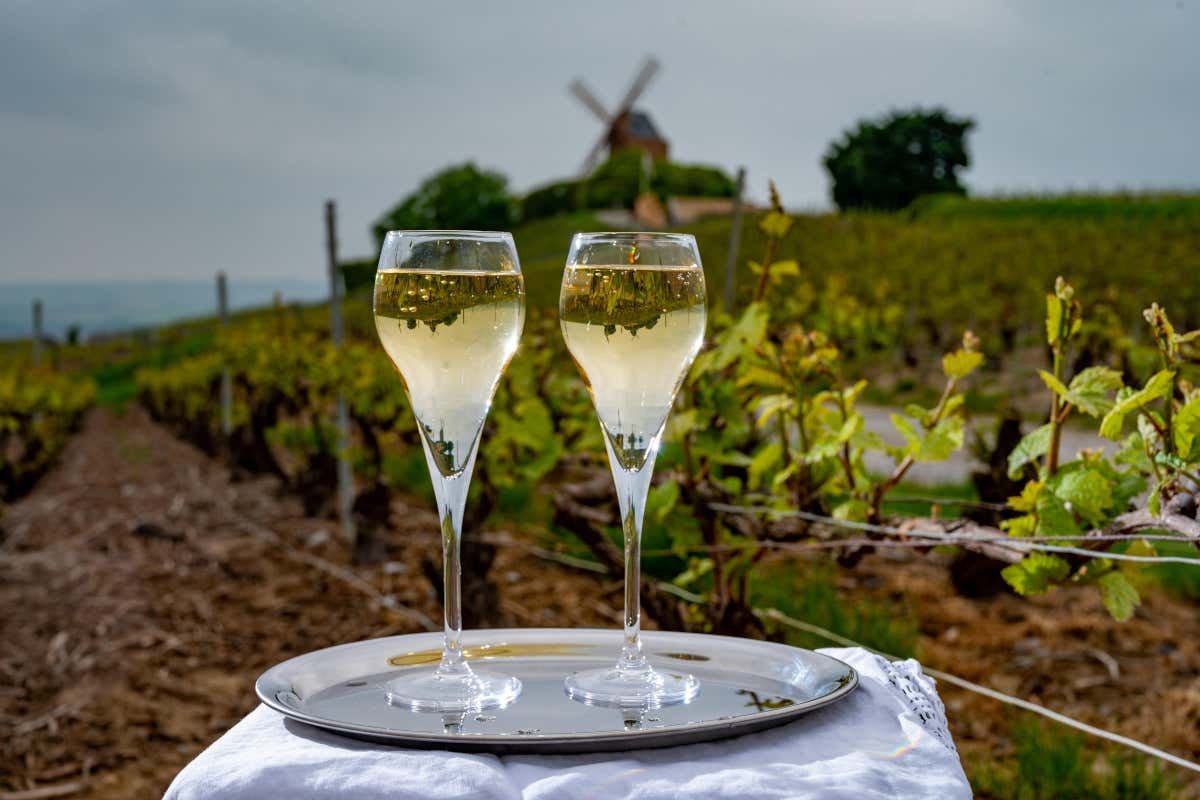 Uno Champagne della zona della Montagne de Reims