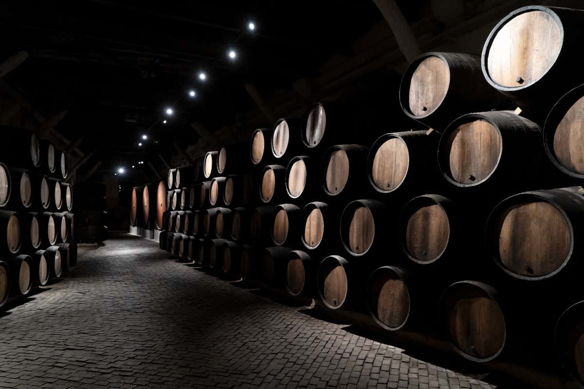 I vini di riserva hanno riposato in cantina per anni all'interno di grandi botti di legno