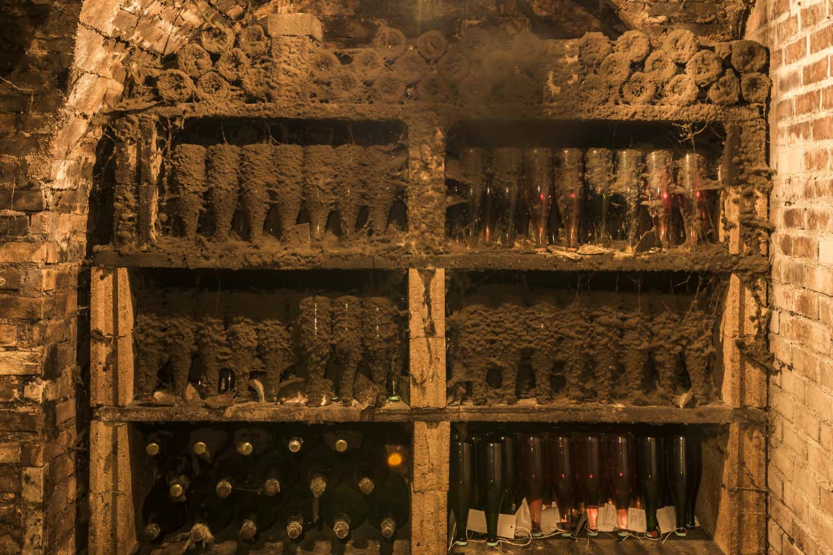 Alcuni Champagne sono concepiti per evolvere in cantina anche 10-15 anni
