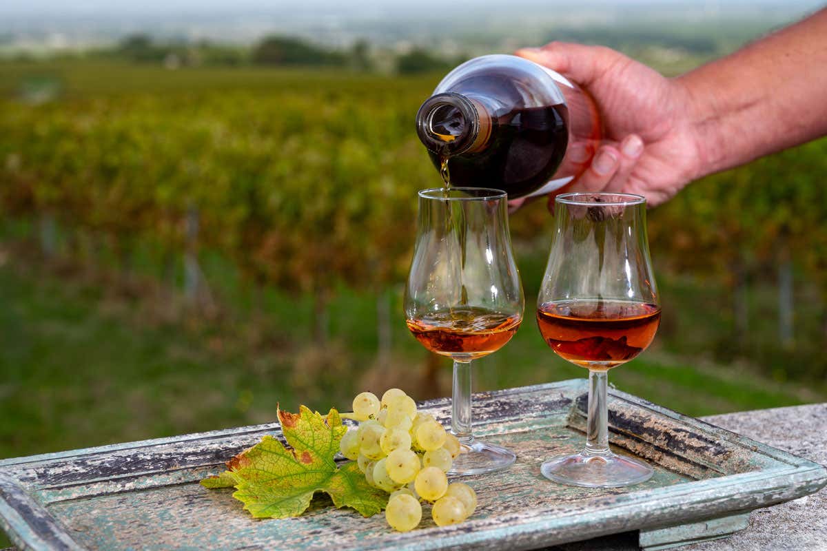 Alla scoperta del Cognac: il distillato nobile dimenticato dai barman moderni