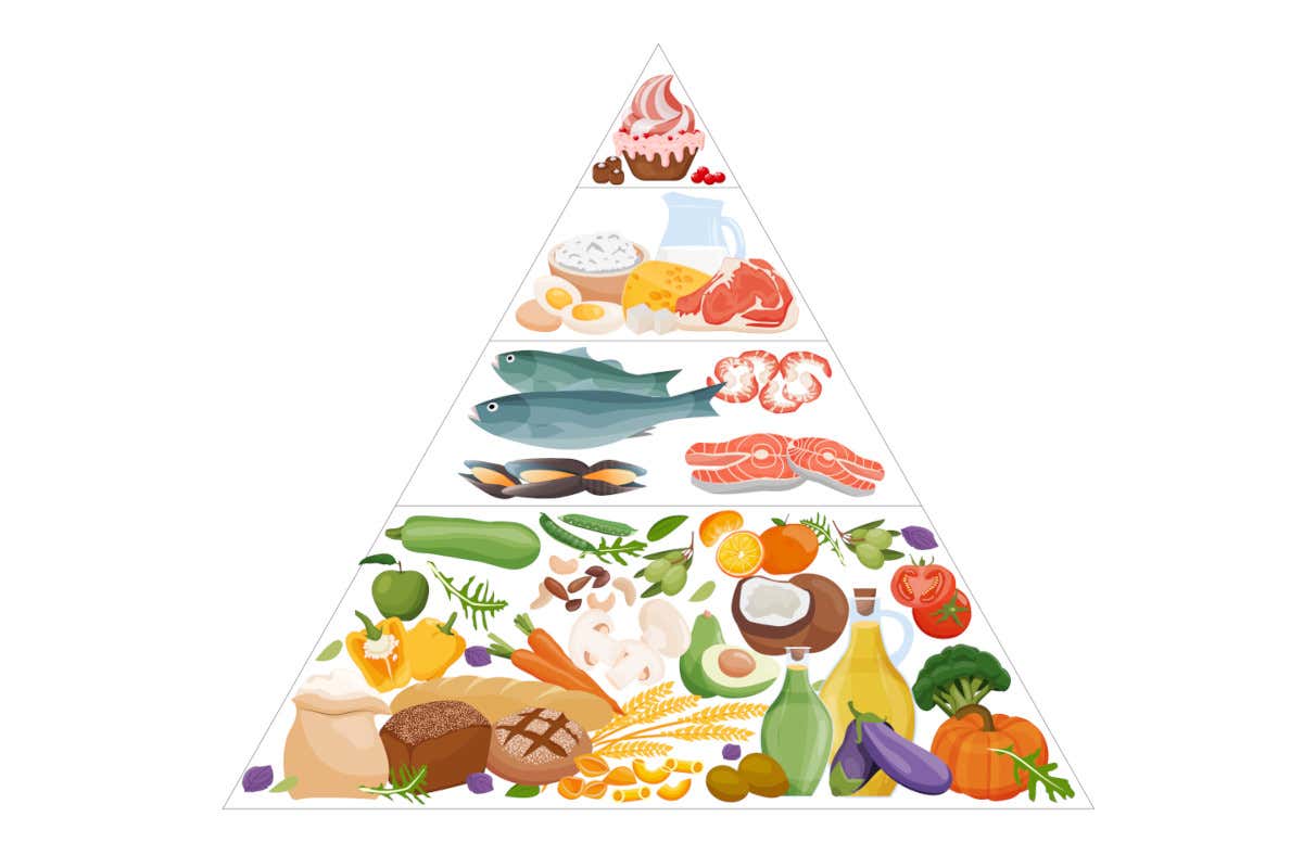 Piramide Usa capovolta: il modello americano è così lontano dalla dieta mediterranea? Piramide Usa capovolta: il modello americano è così lontano dalla dieta mediterranea?