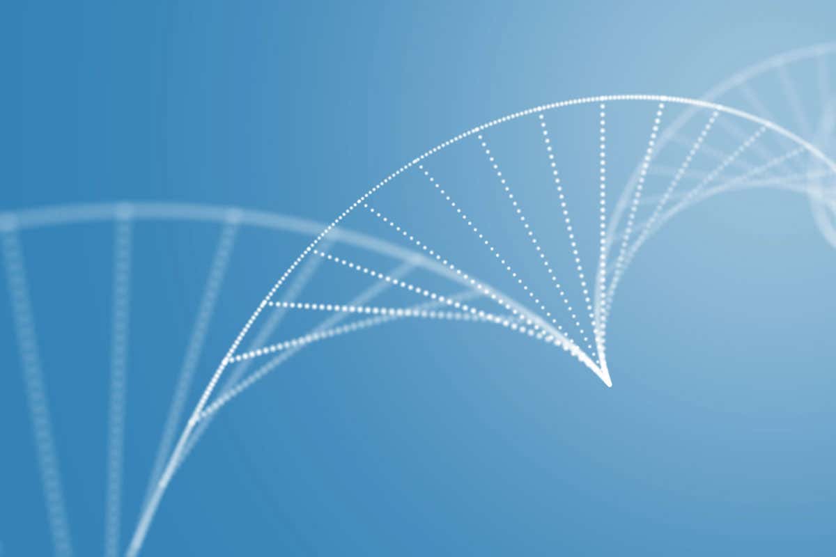 Test nutrigenetico: il futuro della dieta personalizzata passa per la genetica