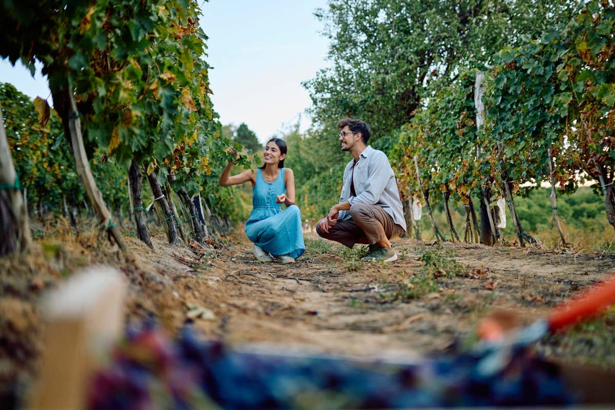 Riconnettersi con la campagna significa parlare anche di enoturismo