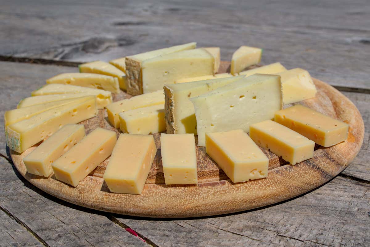 Wine Tour Bronze: visita a un caseificio tra le Dolomiti e degustazione di formaggi locali