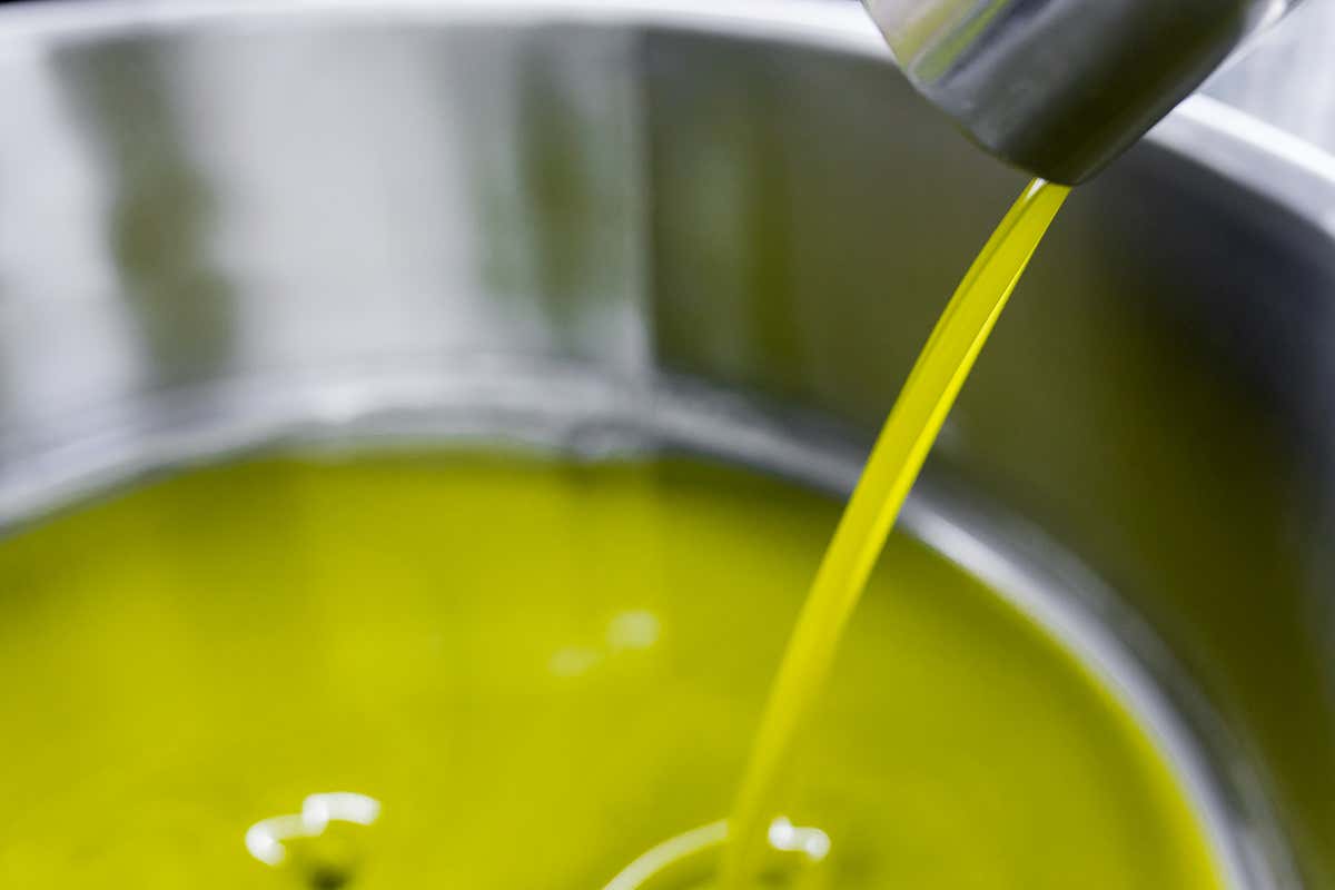 Olio extravergine: quanto vale davvero una bottiglia d’eccellenza?